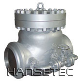 Swing-type Check Valves With Passby Line