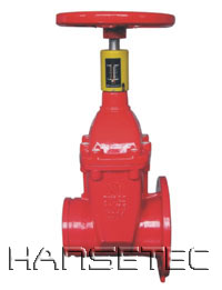 Groove and flange Valve with Indicator