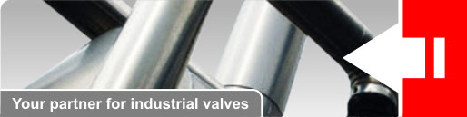 Your partner for industrial valves